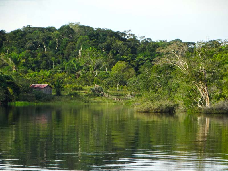 Amazonas